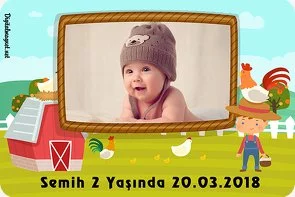 Ali Baba ve Çiftlik Temalı Doğum Günü Konsepti