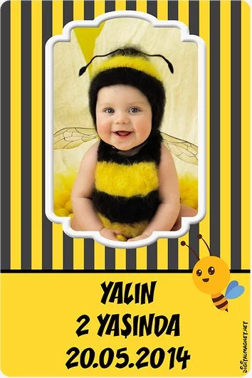 Arı Temalı Doğum Günü Konsept