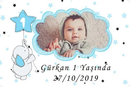 Baby Fil Mavi Temalı Doğum Günü Konsepti