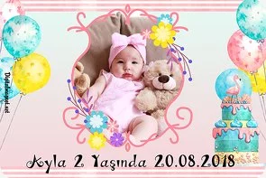 Balonlu Flamingo Temalı Doğum Günü Konsepti