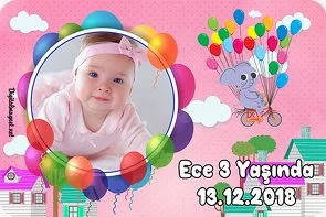 Balonlu Pembe Fil Temalı Doğum Günü Konsepti