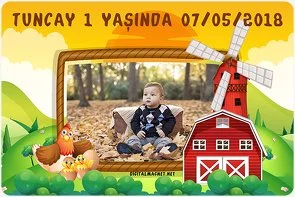 Çiftlik Temalı Doğum Günü Konsepti