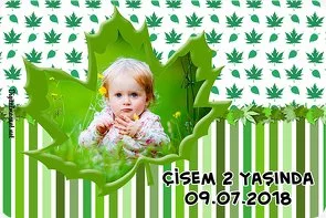 Çınar Yaprak Temalı Doğum Günü Konsepti