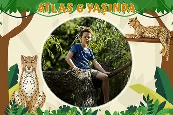 Çita Ormanda Temalı Doğum Günü Konsepti