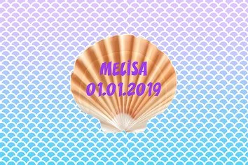 Deniz Kabuğu Temalı Doğum Günü Parti Konsept