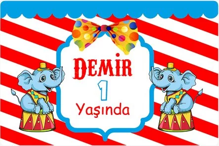 Filli Sirk Temalı Doğum Günü Parti Konsepti