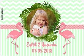 Flamingo Temalı Doğum Günü Konsepti