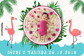 Flamingo Yeşil Temalı Doğum Günü Konsepti