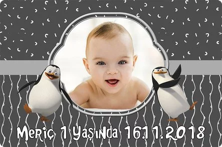 Gri Penguen Temalı Doğum Günü Konsepti