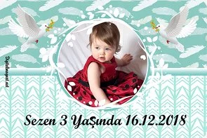 Güvercin Temalı Doğum Günü Konsepti