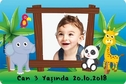 Hayvanlar Alemi Temalı Parti Konsept