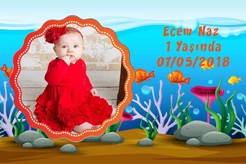 Kırmızı Balık Temalı Doğum Günü Konsepti