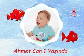 Kırmızı Balık Temalı Doğum Günü Parti Konsept