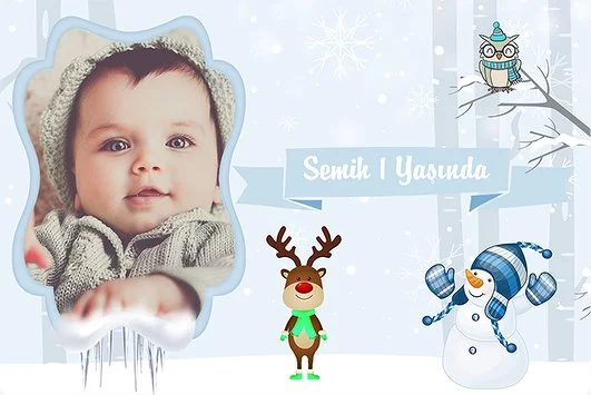 Kış Temalı Doğum Günü Parti Konsept