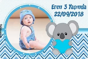 Koala Mavi Temalı Doğum Günü Konsepti