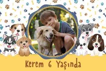 Köpek Dostu Temalı Parti Konsept