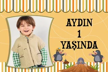 Köstebekler Temalı Doğum Günü Konsepti