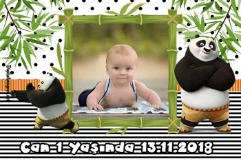  Kung Fu Panda Temalı Doğum Günü Konsepti