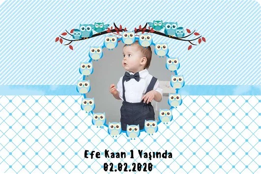 Mavi Baykuş Temalı Doğum Günü Konsepti