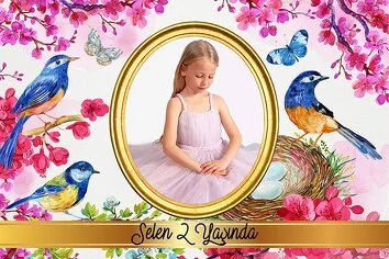 Mavi Kuşlar Temalı Parti Konsept