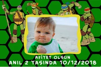 Ninja Kaplumbağalar Temalı Doğum Günü Konsepti