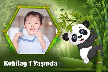 Panda ile Bambu Ormanı Temalı Doğum Günü Konsepti