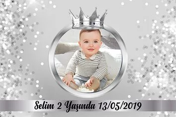 Parıltılı Gümüş Simli Temalı Parti Konsept