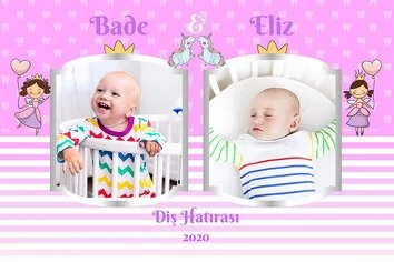 Pembe Fonda İkiz Diş Buğdayı Temalı Parti Konsept