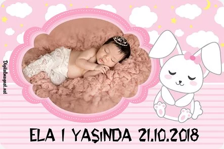 Pembe Tavşan Temalı Doğum Günü Konsepti
