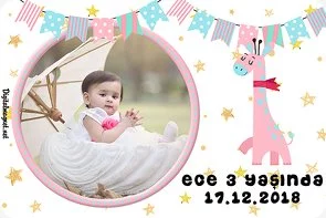 Pembe Zürafa Temalı Doğum Günü Konsepti