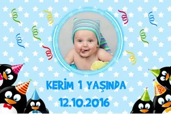 Penguen Temalı Doğum Günü Konsepti