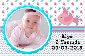 Pink Bird Temalı Doğum Günü Konsepti