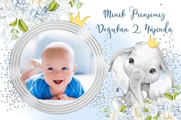 Sevimli Fil Temalı Doğum Günü Parti Konsept