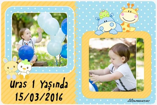 Sevimli Hayvanlar Temalı Doğum Günü Konsepti