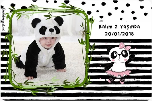 Sevimli Kız Panda Temalı Doğum Günü Parti Konsepti