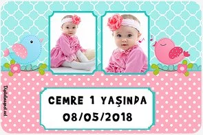 Sevimli Kuşlar Temalı Doğum Günü Konsepti