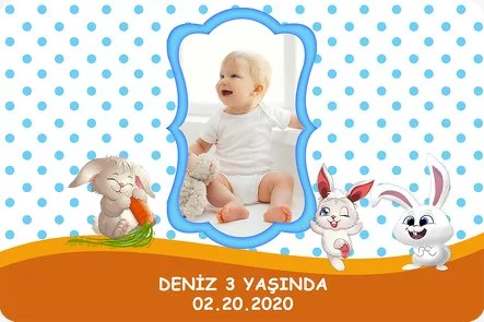 Sevimli Tavşanlar Temalı Doğum Günü Konsepti