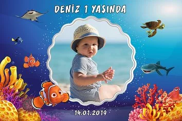 Sevimli Turuncu Balık Temalı Doğum Günü Parti Konsept