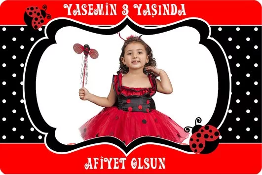 Sevimli Uğur Böceği Temalı Doğum Günü Parti Konsept