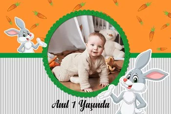 Tavşan ile Havuç Fon Temalı Doğum Günü Konsept