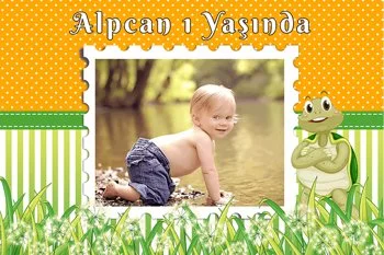 Tosbağa Turuncu Yeşil Fon Temalı Parti Konsept