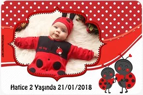 Uğur Böceği 2 Temalı Doğum Günü Parti Konsepti