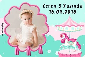 Unicorn ve Atlı Karınca Temalı Doğum Günü Konsepti