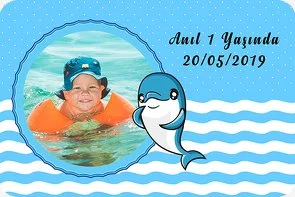 Yunus Balığı Temalı Doğum Günü Konsepti
