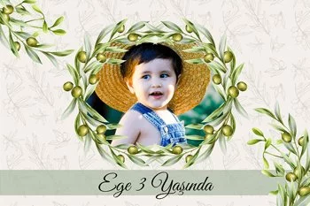 Zeytin Dalı Temalı Parti Konsept