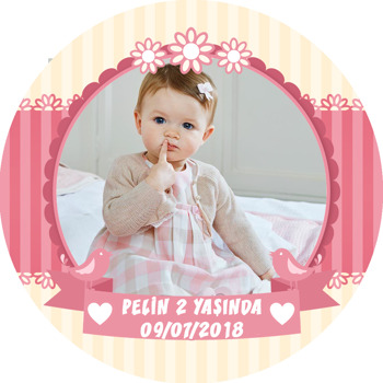 Pembe Kuşlar Ve Çiçekler Temalı Resimli Akrilik Daire Magnet