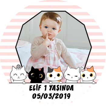 Sevimli Kediler Temalı Resimli Akrilik Daire Magnet