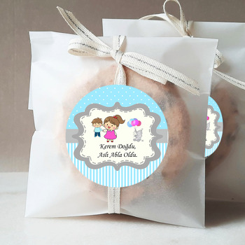 Abla Kardeş ve Balonlu Fil ile Mavi Fon Temalı Hoşgeldin Bebek Sticker