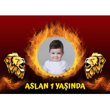 Aslan ile Ateşli Çerçeve Temalı Doğum Günü Amerikan Servis