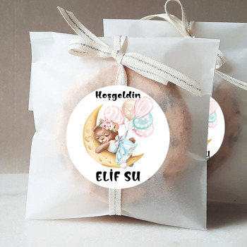 Ayda Balonlu Kız Ayıcık Temalı Sticker